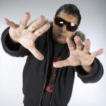 artist image Pandjabi MC RMX The Album