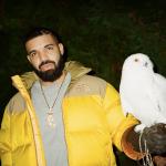 artist image Drake Nonstop Scorpion