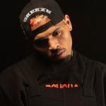 artist image Chris Brown Forever Forever - EP