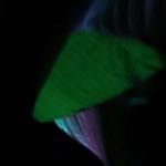 artist image Teriyaki Boyz Tokyo Drift (8D) The Fast and the Furious: Tokyo Drift - Single