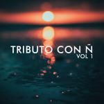 album image Baila Mi Corazón Tributo Con Ñ, Vol. 1