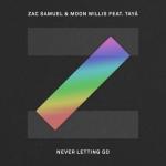 album image Never Letting Go Never Letting Go (feat. Tayá) - Single