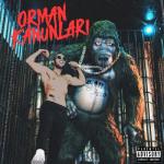 album image Yaylan ORMAN KANUNLARI
