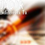 album image INDIFERENTA TA Indiferenta Ta - Single