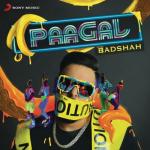 album image Paagal Paagal - Single