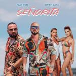 album image Seniorita 2019 Señorita - Single