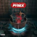 album image Bluuwuu Made In The Pyrex