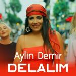 poster Delalım Delalım