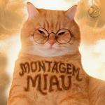 poster Montagem Miau - Super Slowed Montagem Miau